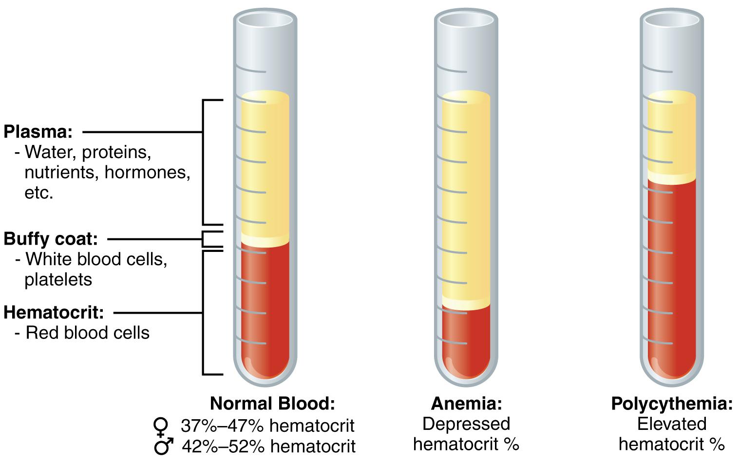 Tailored Nutrient Testing: Customized Approach for Accurate ⁢Results