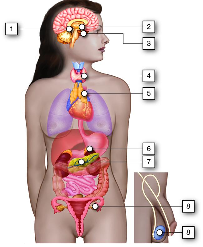 2. Activating the Lymphatic System: Deep Twists and Inversions for Detoxification