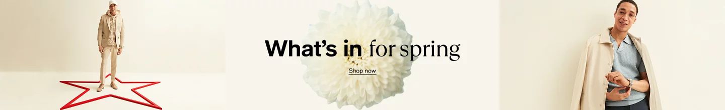 spot_img